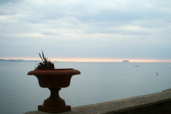 KONICA MINOLTA DIGITAL CAMERA