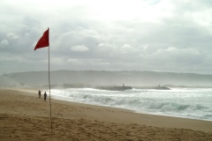 KONICA MINOLTA DIGITAL CAMERA